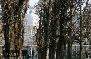 06 pantheon thru trees